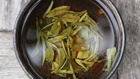 Brewing White Tea in a Teapot Brewing White Tea in a Teapot