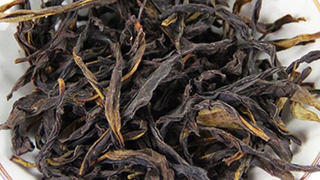 Production of Guangdong Oolongs Production of Guangdong Oolongs