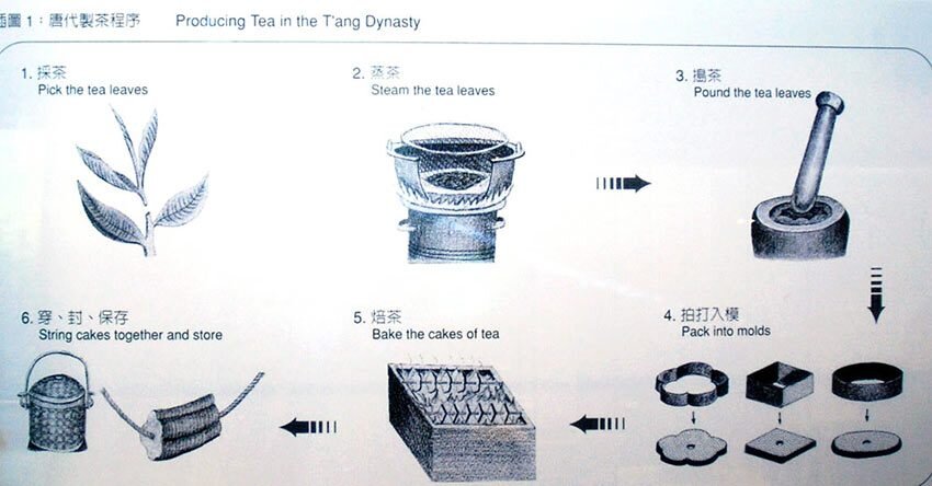 Фотография из Музея чая в Ханчжоу