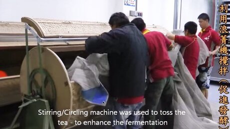 Tossing (yáoqīng, 摇青) Tossing (yáoqīng, 摇青)