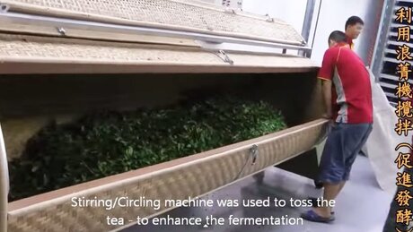 Tossing (yáoqīng, 摇青) Tossing (yáoqīng, 摇青)