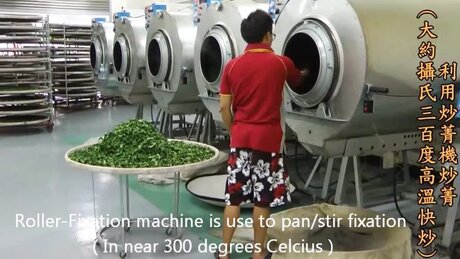 Roasting (chǎoqīng, 炒青) Roasting (chǎoqīng, 炒青)