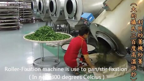 Roasting (chǎoqīng, 炒青) Roasting (chǎoqīng, 炒青)