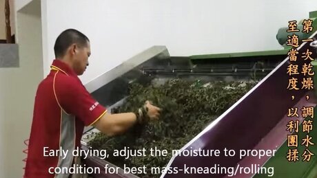 Roasting (chǎoqīng, 炒青) Roasting (chǎoqīng, 炒青)