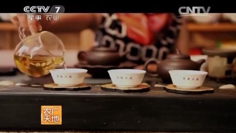 Degustation Degustation