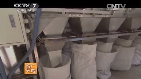 Screening (shāixuǎn, 筛选) Screening (shāixuǎn, 筛选)