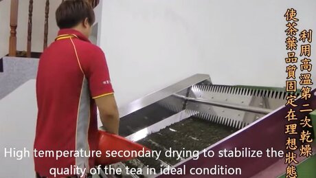 Roasting (chǎoqīng, 炒青) Roasting (chǎoqīng, 炒青)