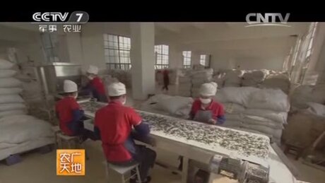 Selection (jiǎntī, 拣剔) Selection (jiǎntī, 拣剔)