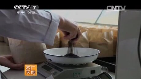 Blending (pīnpèi, 拼配) Blending (pīnpèi, 拼配)