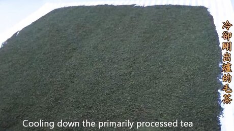 Ready-made tea Ready-made tea