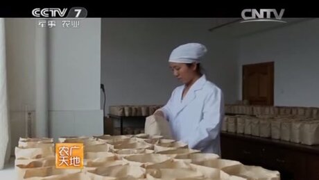 Blending (pīnpèi, 拼配) Blending (pīnpèi, 拼配)