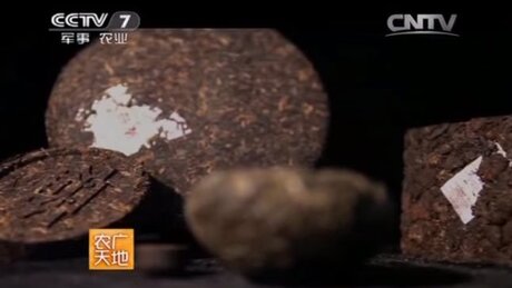 Shaping (zuòxíng, 做型) Shaping (zuòxíng, 做型)