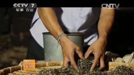 Shaping (zuòxíng, 做型) Shaping (zuòxíng, 做型)