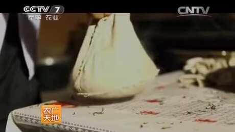 Shaping (zuòxíng, 做型) Shaping (zuòxíng, 做型)