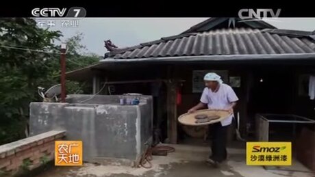 Drying (shàicha, 晒茶) Drying (shàicha, 晒茶)