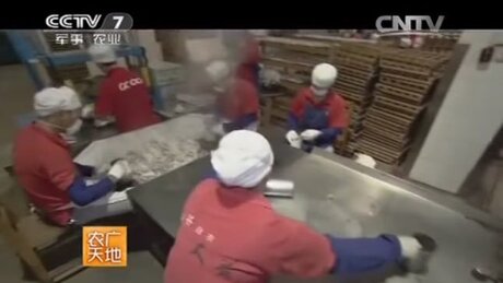 Shaping (zuòxíng, 做型) Shaping (zuòxíng, 做型)