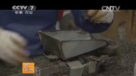 Shaping (zuòxíng, 做型) Shaping (zuòxíng, 做型)