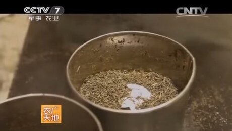 Shaping (zuòxíng, 做型) Shaping (zuòxíng, 做型)