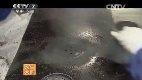 Shaping (zuòxíng, 做型) Shaping (zuòxíng, 做型)