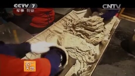 Shaping (zuòxíng, 做型) Shaping (zuòxíng, 做型)