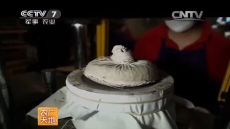 Shaping (zuòxíng, 做型) Shaping (zuòxíng, 做型)