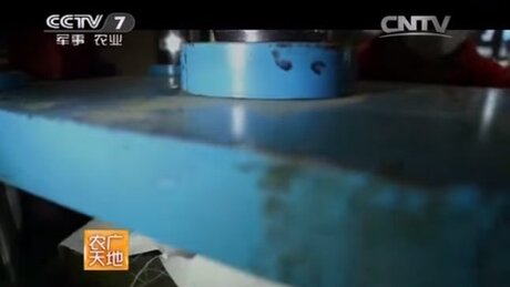 Shaping (zuòxíng, 做型) Shaping (zuòxíng, 做型)