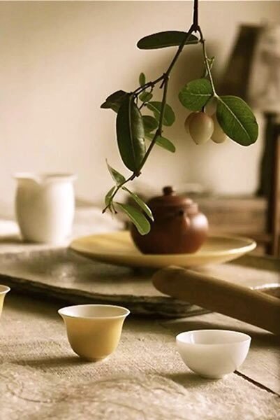 About the Kind of Taiwan Oolongs About the Kind of Taiwan Oolongs