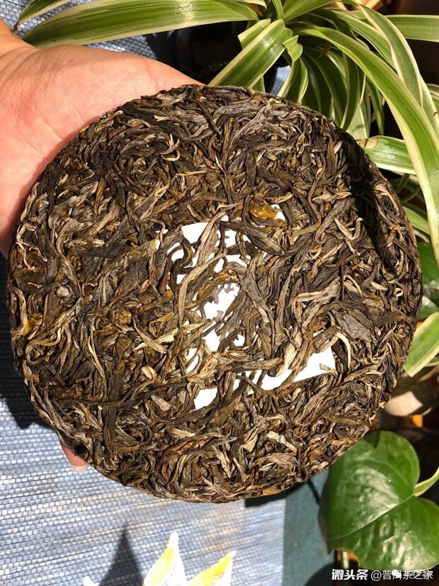 Bangwai mountain puerh tea